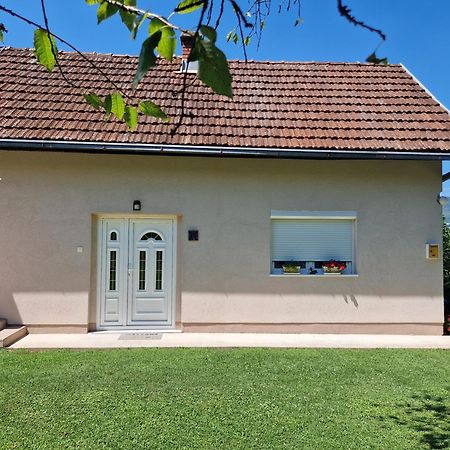 Kuca Za Odmor Dm Villa Bajina Basta Luaran gambar