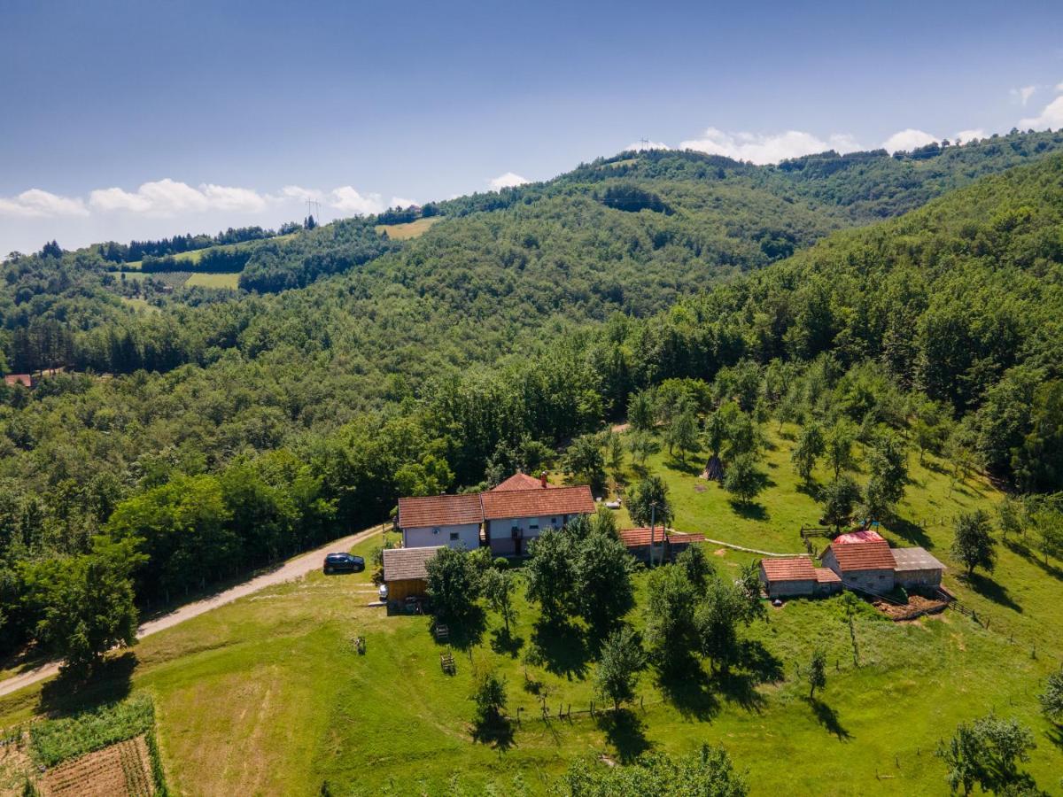 Kuca Za Odmor Dm Villa Bajina Basta Luaran gambar
